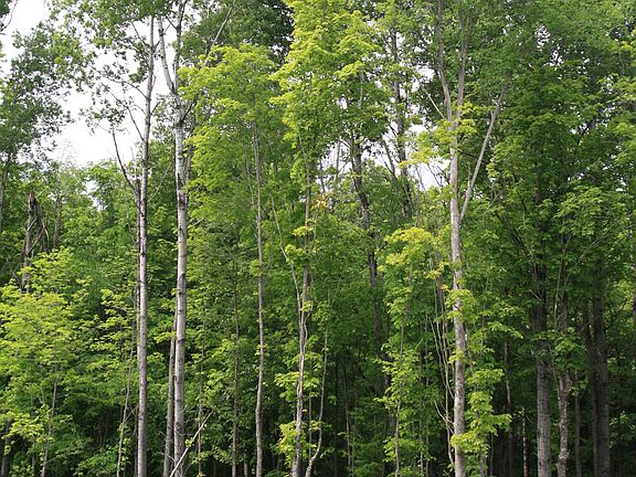 4th image of Tbd Skyline River's Edge