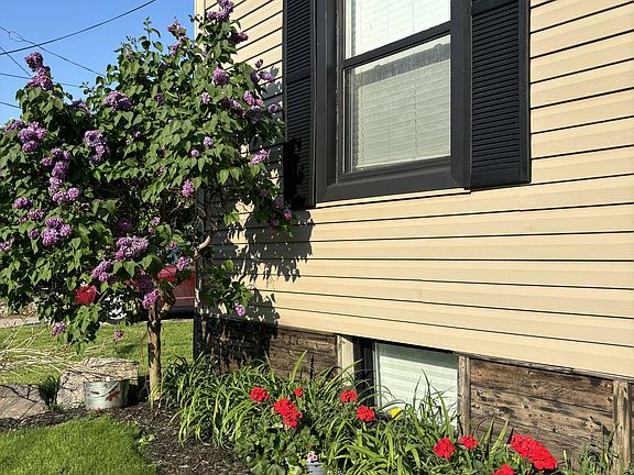 2nd image of 381 Elizabeth St