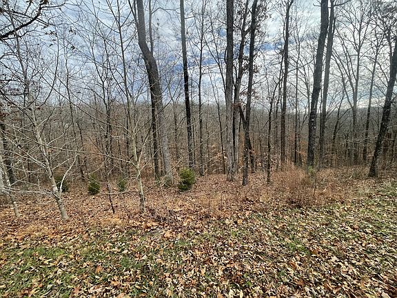 4th image of 0 Stonebrook Dr Lot 60