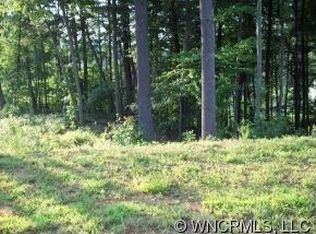 26 Cats Whisker Ct, Biltmore Lake, NC 28715