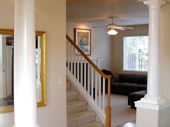 View from Dining room