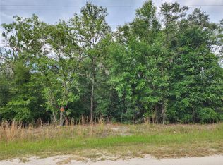SW 125th Terrace H LOT 12-S, Dunnellon, FL 34432