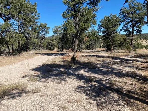 63 Ranch Dr, Pinehill, NM 87357
