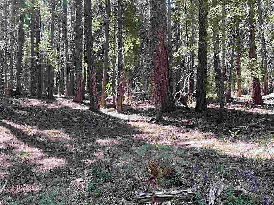 1st image of 1660 Lodgepole Trl