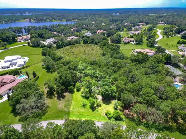 7705 Still Lakes Dr, Odessa, FL 33556