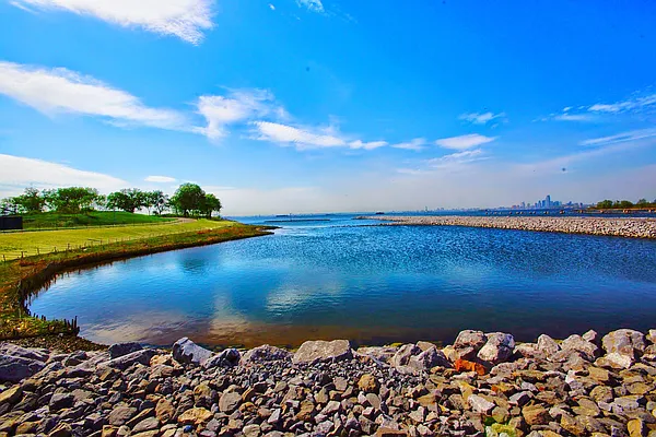 Rented by Owner | media 147