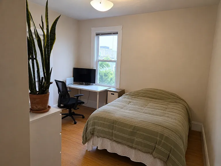 356 Dorchester St — Photo 8