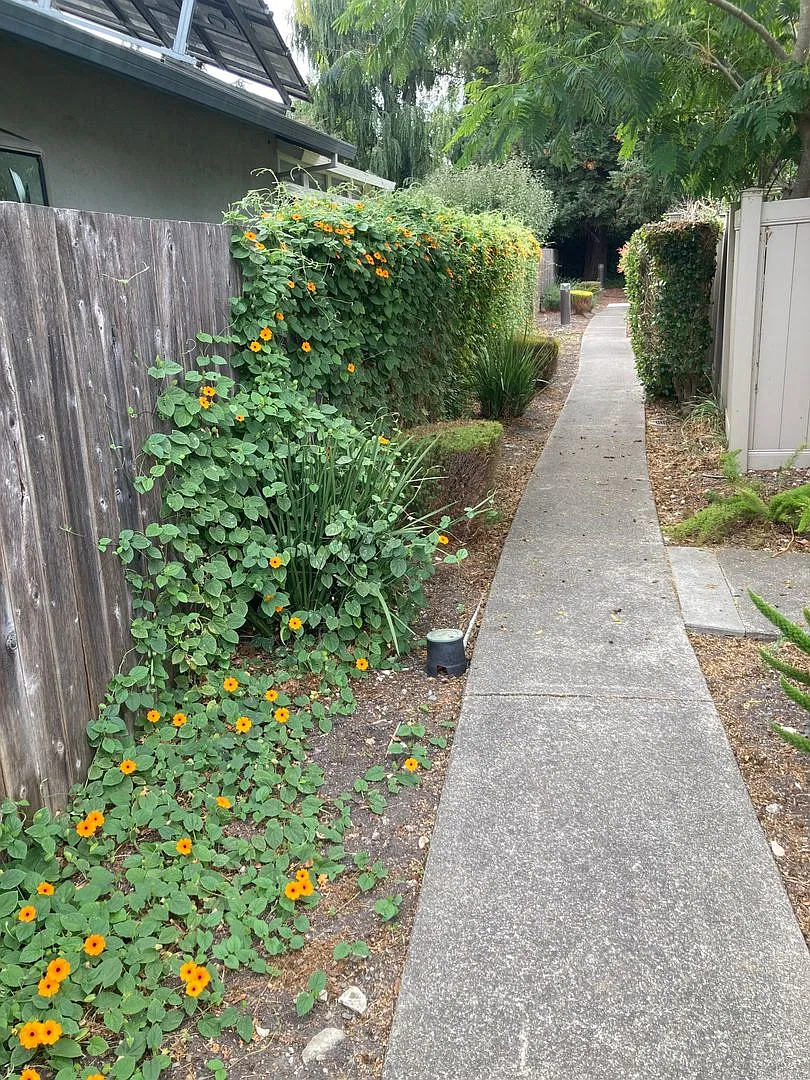 Nice 2/1.5 Meadow Pines Condo - 1065 Copeland Creek — Photo 3
