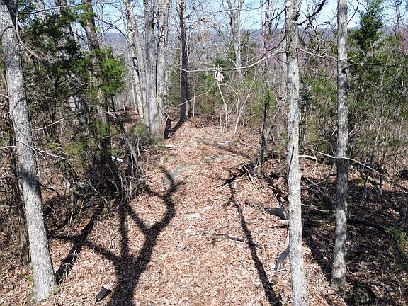 5th image of 7 Kickin True Way