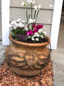 2407 Zurlo Way, Santa Rosa, CA, 95403