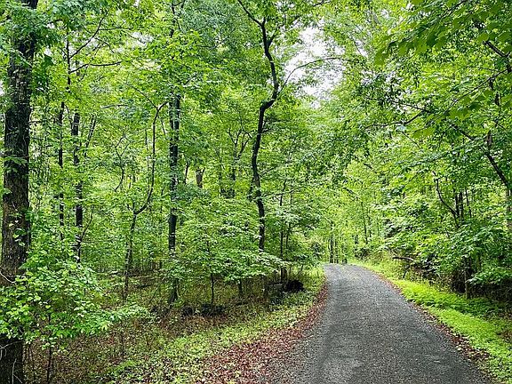2nd image of Carsons Way