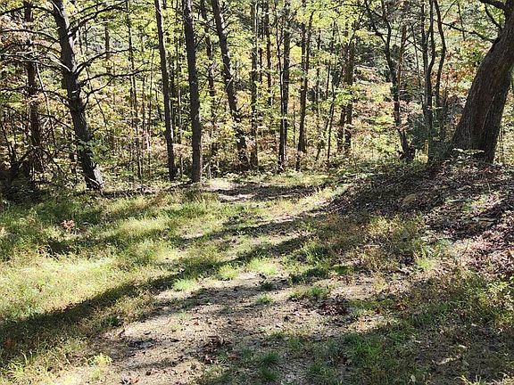 3rd image of 0 Tipple Rd Tract 4 & 5