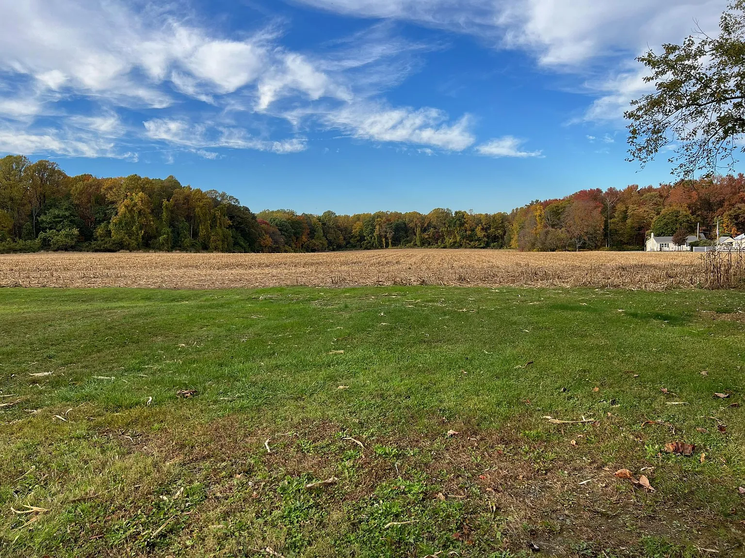2 bed, 1100 sqft, $1,200 — Photo 3