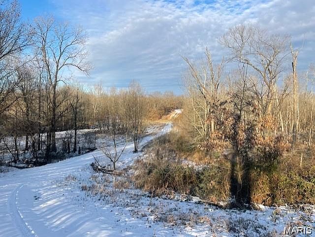 2nd image of 0 County Road 478