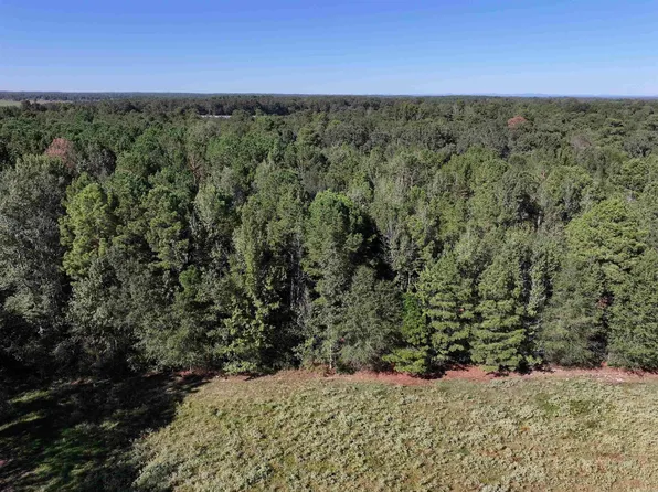 Central Rd, Horatio, AR 71842