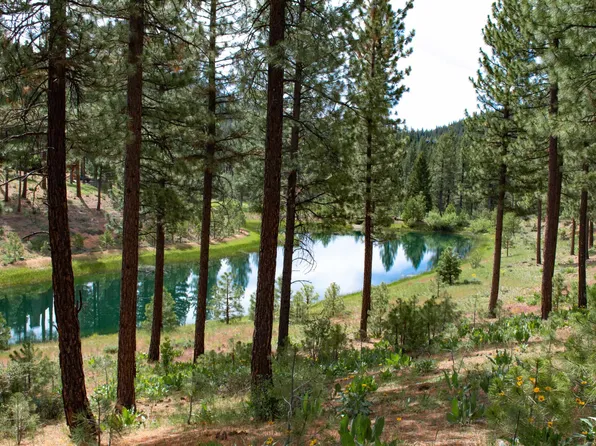 244 Blacktail Rdg, Portola, CA 96122