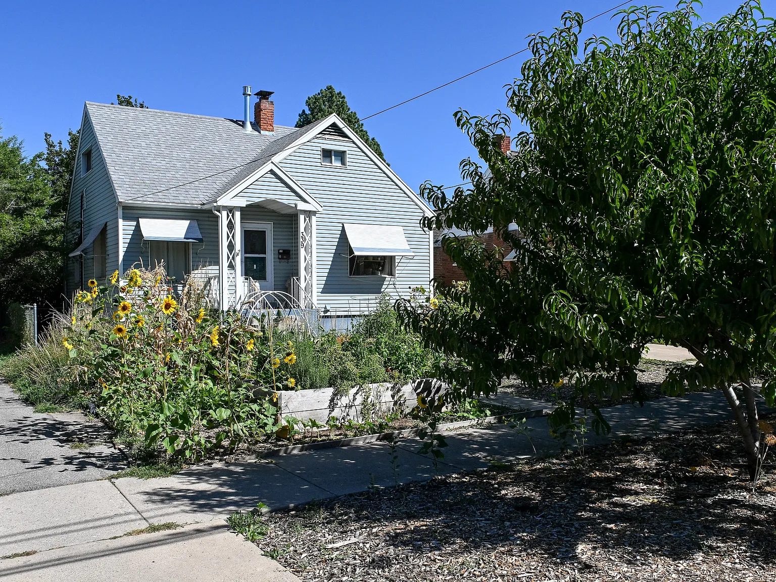 1 bed, 1.0 bath, 482 sqft, $700 — Photo 1