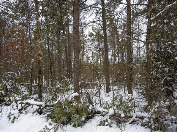 N8275 Woodland Trail #232 & 233, New Lisbon, WI 53950