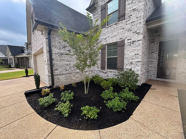 340 Chesnut Ridge Cv — Photo 20