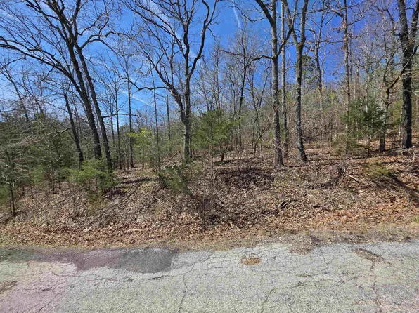 L-39 Iroquois Dr #B, Cherokee Village, AR 72529