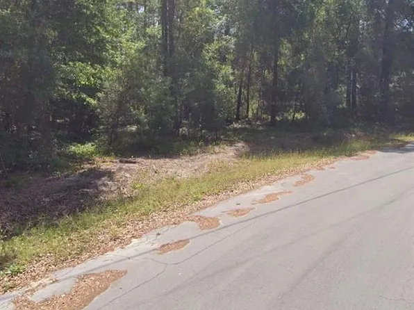 Locust Cir Lot 3, Ocala, FL 34472