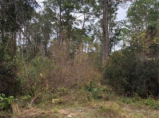 1150 Michelle St, Pierson, FL 32180