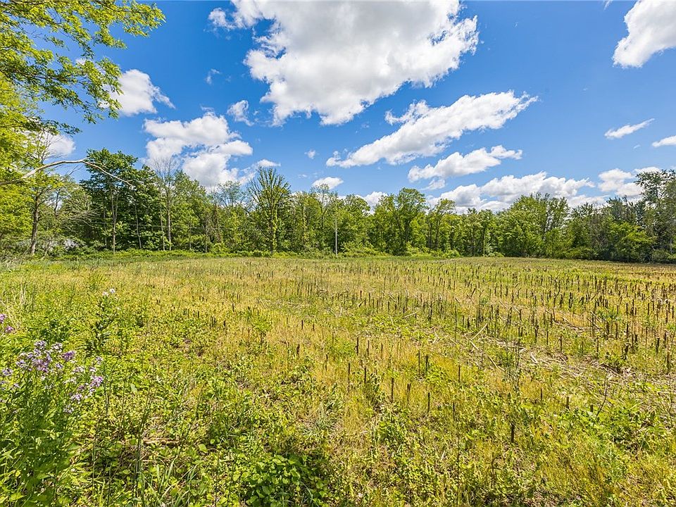 37th image of 17156 Ladue Rd