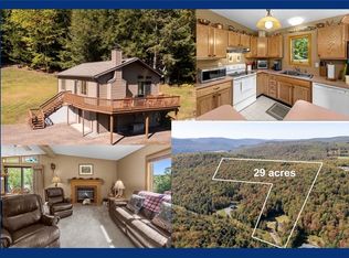 815 Covert Hollow Rd, Hamden, NY 13782