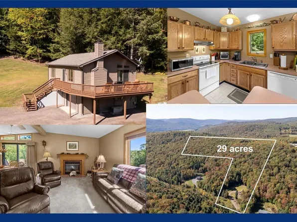 815 Covert Hollow Rd, Hamden, NY 13782