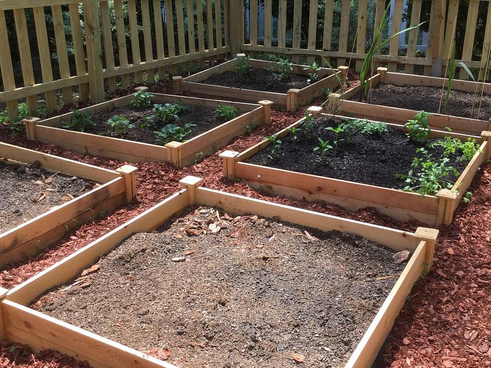 Community Vegetable Garden