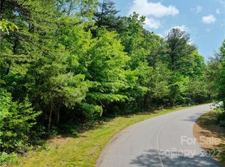 295 Eastman Pl, Mill Spring, NC 28756