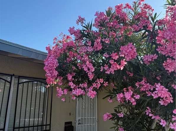 117 Frederick Ave, Las Vegas, NV 89106