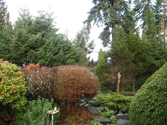 peek of view of sound