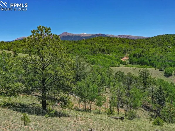 46 Hobo Ct, Cripple Creek, CO 80813
