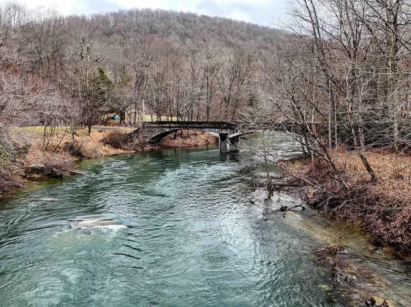 Leaf View Ln, Ellamore, WV 26267