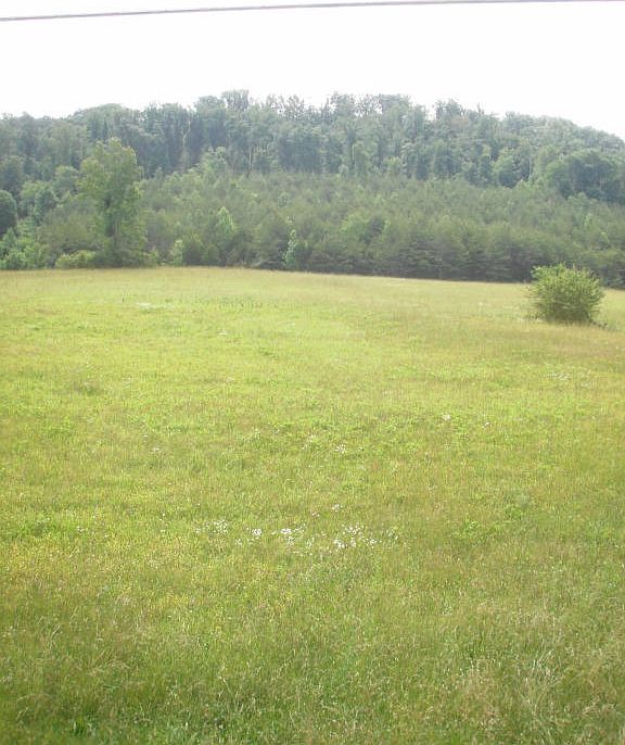2nd image of Carden Rd
