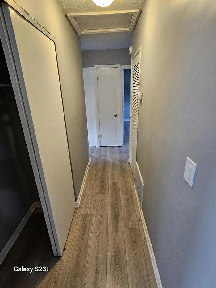 3 bed, 1.0 bath, 981 sqft, $1,350 — Photo 4