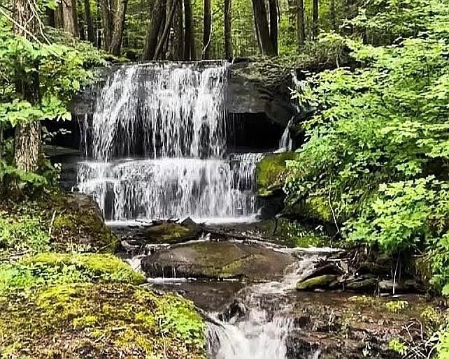 1st image of Bragg Hollow Rd #19