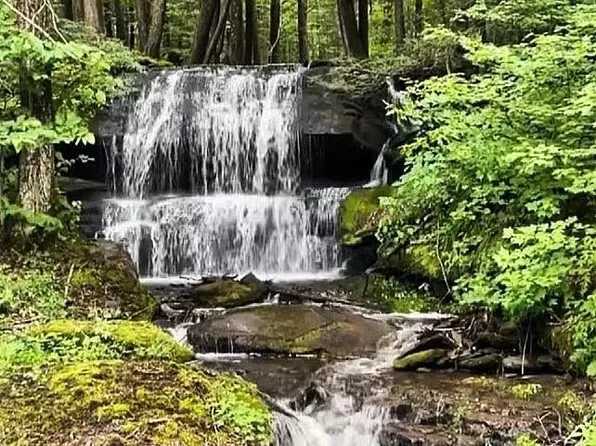 Bragg Hollow Rd #19, Margaretville, NY 12455
