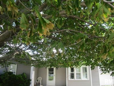 609 N 1st St, Alpha, IL, 61413