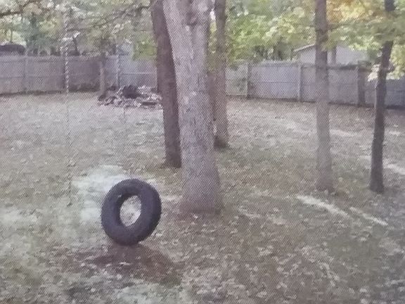 Peaceful back yard