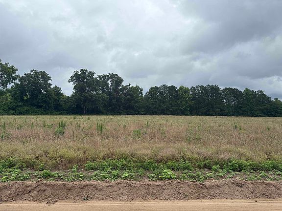 4th image of TBD Coney Dr.