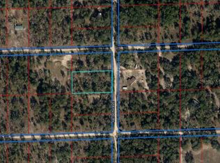 Tbd Ne 95th Ave, Bronson, FL 32621