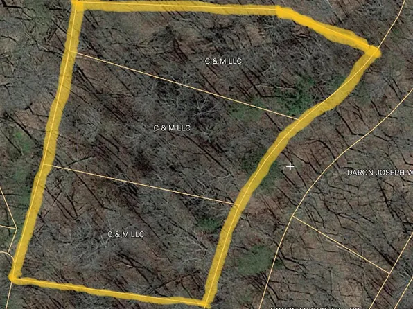 Tree Line Ln, Baneberry, TN 37890