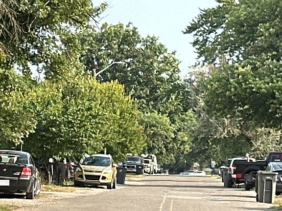5th image of 1167 N Livingston Ave