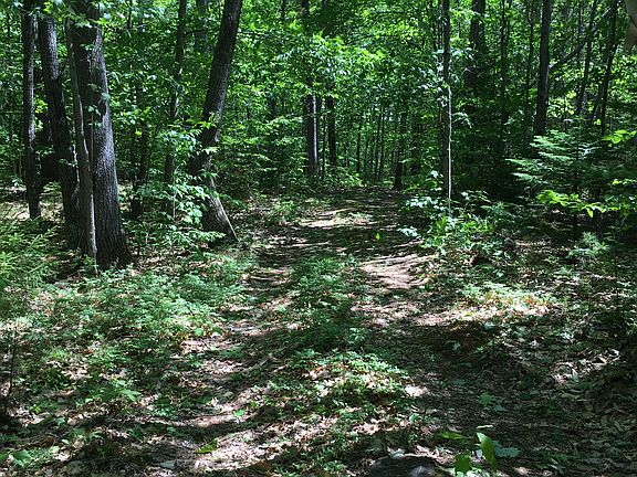 2nd image of Jordan Woods Lot 7