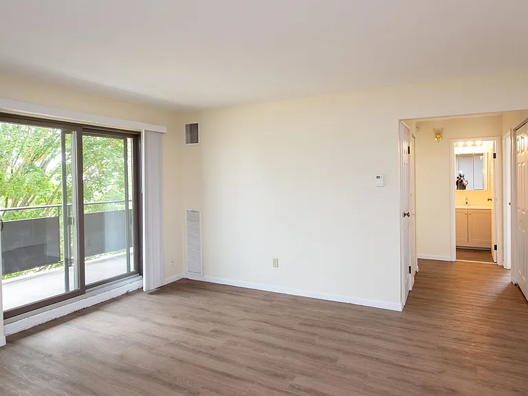 Chestnut Hill South — Photo 38