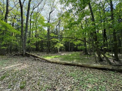 Beech Cir, Egg Harbor, WI, 54209