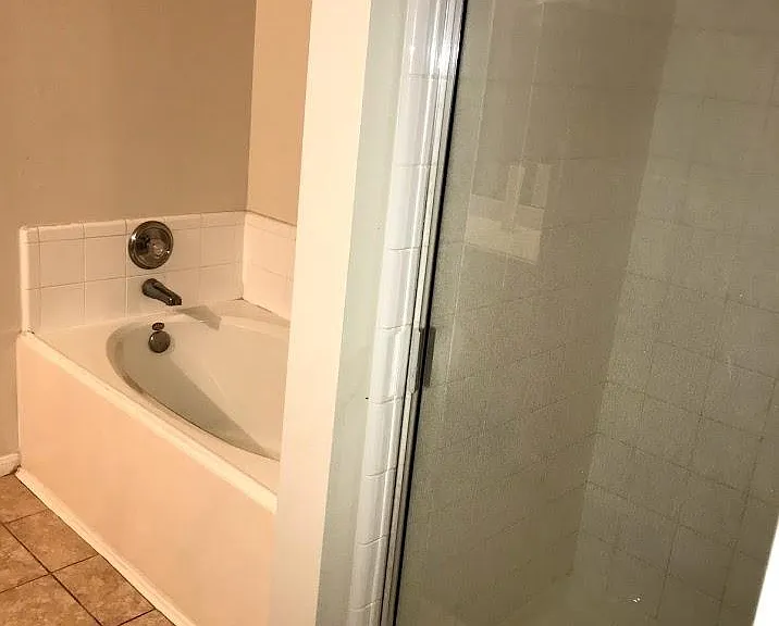 Master bath shower and tub
