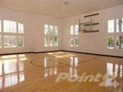 Basketball Court
